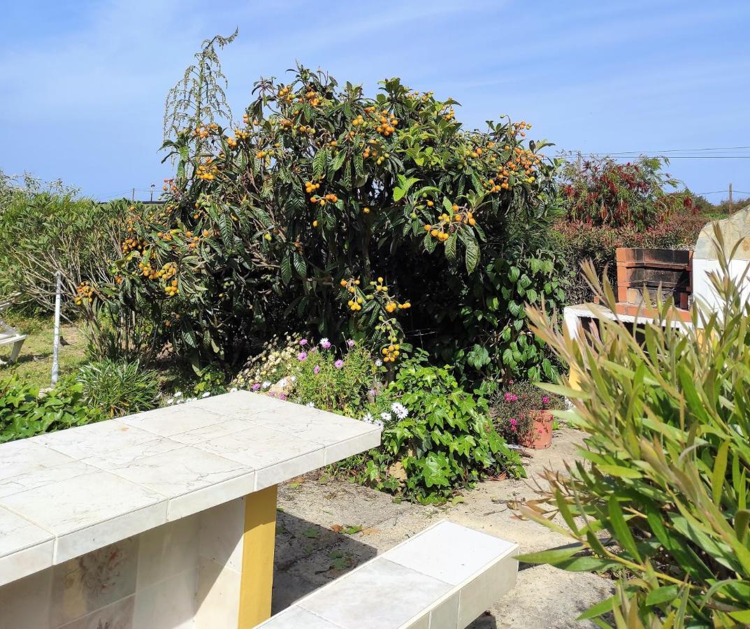 Apartamentos Na Quinta Altavista Do Carvalhal Zambujeira do Mar Exterior foto